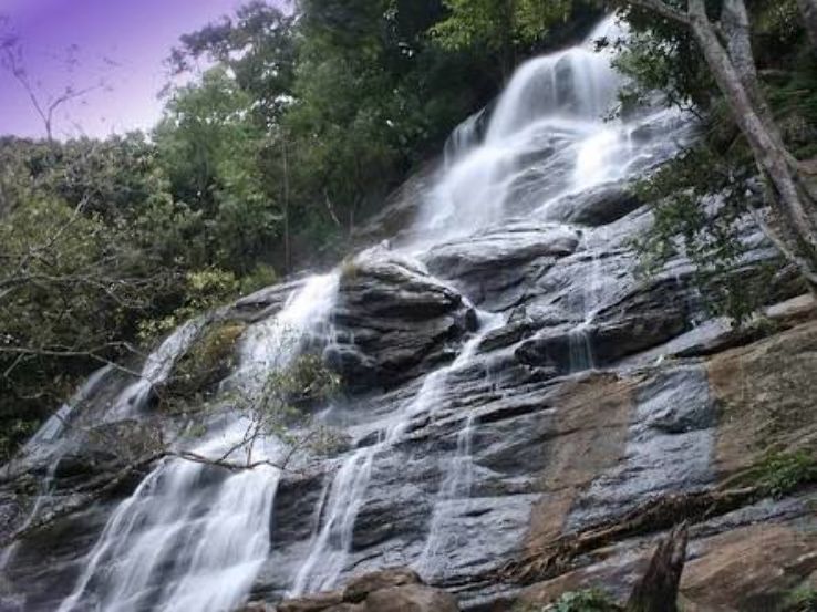 Magical Yercaud Hill Stations Tour Package from Tiruchirappalli